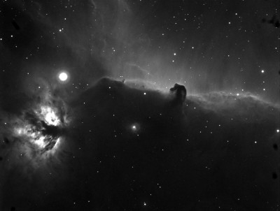 tete de cheval 15min Ha.jpg